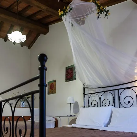 Di Papiano San Baronto