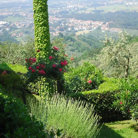 Di Papiano * San Baronto