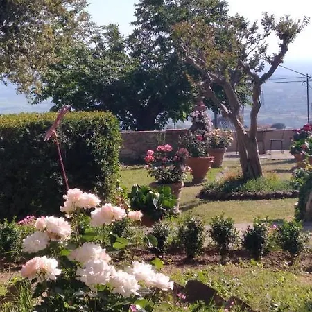 Di Papiano
